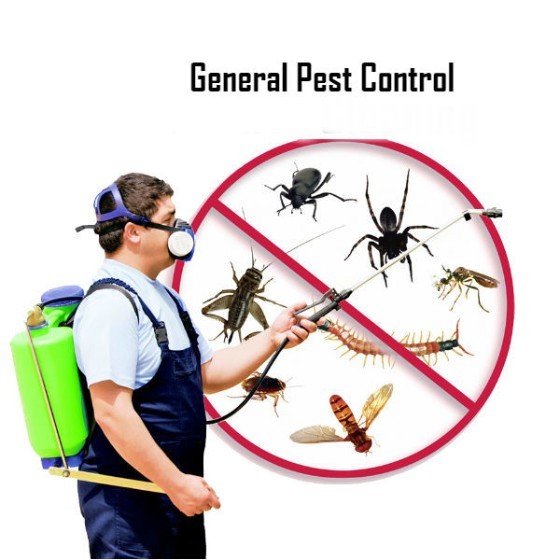 Pest Control in Alhambra CA