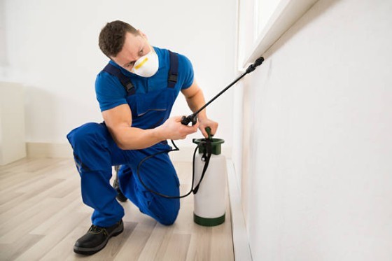 Pest Control in Fort Myers FL