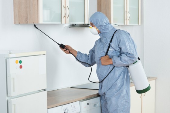 Pest Control in North Hollywood CA