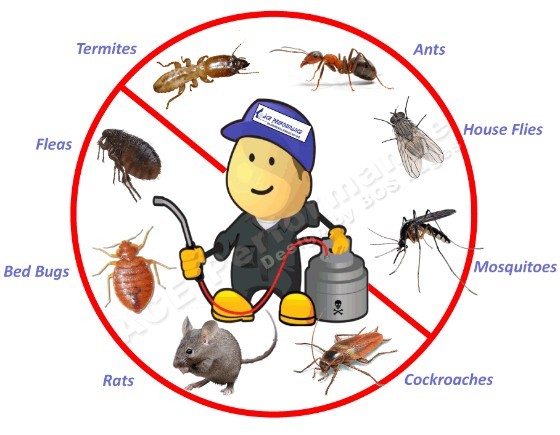 Pest Control in Orland Park IL