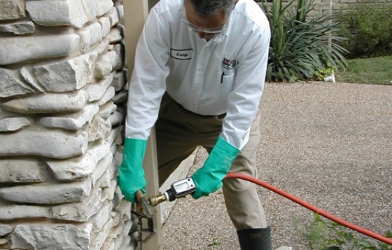 Pest Control in Pflugerville TX