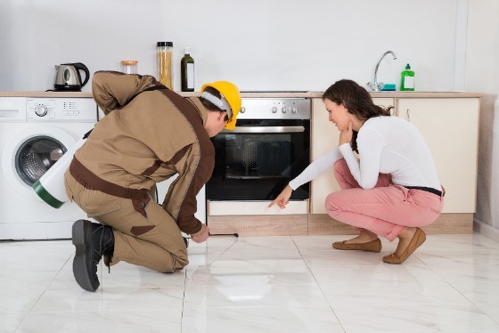 Pest Control in Tracy CA